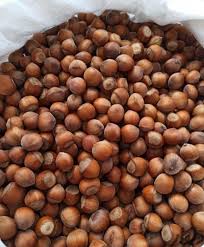 فندق